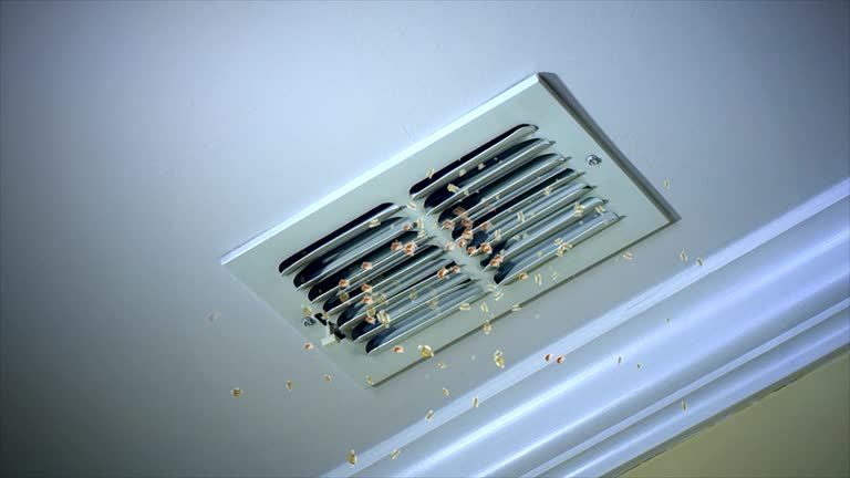 Best Affordable Air Duct Cleaning  in Polk City, FL