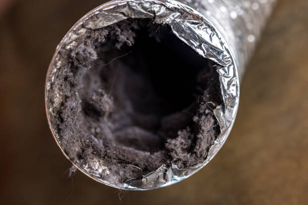 Best HVAC System Cleaning  in Polk City, FL